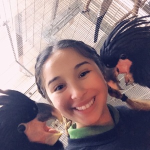Stephanie Chavez's avatar